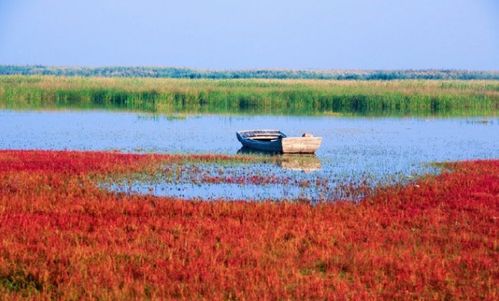 描寫(xiě)深秋的詩(shī)句古詩(shī)大全,描寫(xiě)花的詩(shī)句古詩(shī)大全,描寫(xiě)山的詩(shī)句古詩(shī)大全