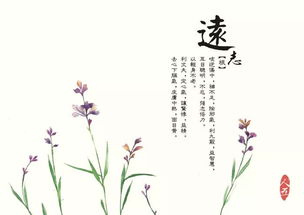 關(guān)于藥的詩句