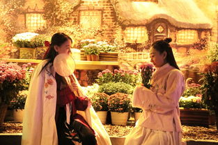 清明節(jié)關(guān)于菊花詩句大全