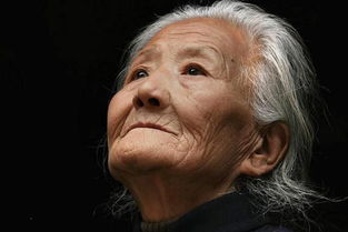 關(guān)于柳樹的夏天古詩句