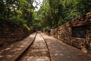 關(guān)于金牛古道的詩句