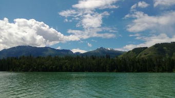 描寫新疆古詩句