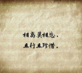 與且行且珍惜相近的古詩句