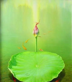 寫夏天蓮花的詩句古詩