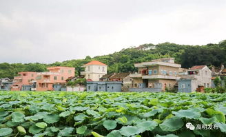 關(guān)于孝悌的古詩(shī)句