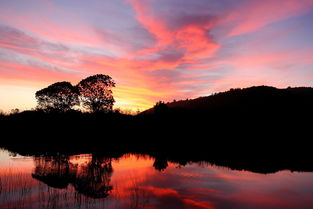 關(guān)于夕陽西下的風(fēng)景的詩句