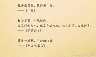 詩句,滄桑,心箏一觸