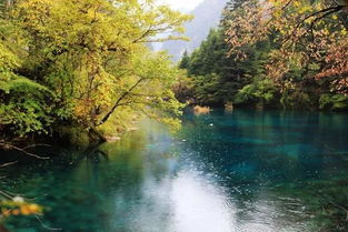 關(guān)于九寨溝在詩句朗誦