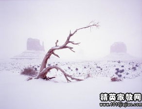 琴聲,詩句,唯美