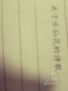 描寫水仙花詩句古詩詞