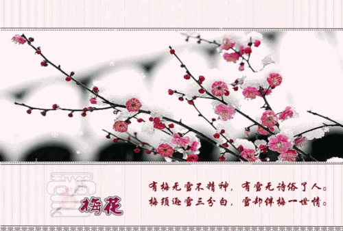 由梅飄香想到的古詩句是