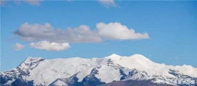 連續(xù)兩句帶雪字的古詩句,兩句帶雪字的古詩句,兩句都帶月字的古詩