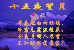 關(guān)于春天的思念家鄉(xiāng)的詩(shī)句