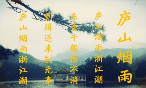 詩句,迷茫,表達(dá)