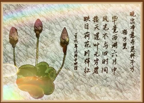 關(guān)于夏的詩句和關(guān)于夏的成語