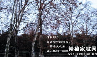 描寫學(xué)校景色的古詩句