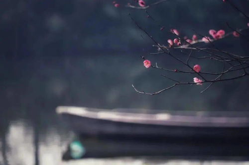 詩句,唯美,凌晨