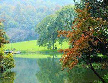 描寫西湖的詩句古詩詞,四年級描寫西湖的詩句,關于西湖的詩句古詩詞