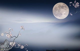 一句,月亮,詩句,你寫