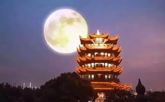 有關(guān)于繁華的詩句