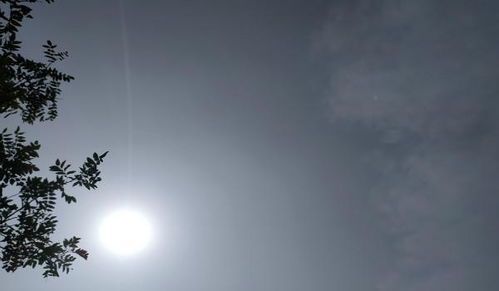 月亮寄托對親人的思念的詩句,以月寄托思念之情的詩句,用月亮寄托思念的詩句