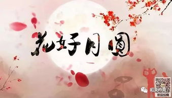 關(guān)于花好月圓的詩句