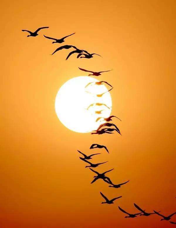 關(guān)于寂寞的名言詩句