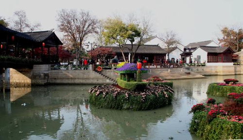 寫(xiě)出兩句詠柳的古詩(shī)句