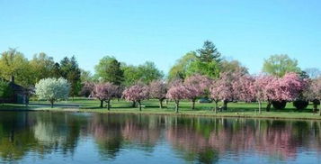 一首,詩句,描寫,春天