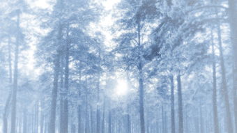 有關(guān)大寒的古詩4句,描寫大寒的古詩2句,關(guān)于大寒的古詩句