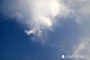 關(guān)于吃飽喝足的詩(shī)句