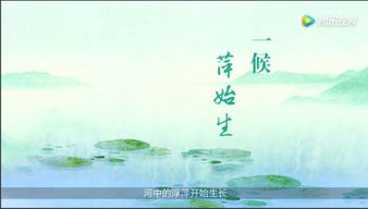 關(guān)于節(jié)氣的諺語詩句