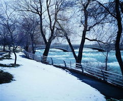 春天雪景的詩句古詩