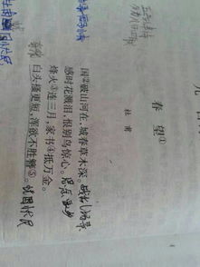 初一初二關(guān)于橋的詩(shī)句