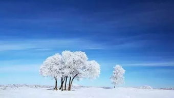 寫(xiě)冬天草原的詩(shī)句古詩(shī)