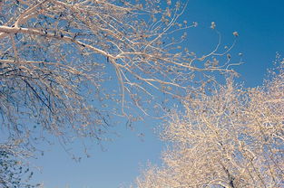 關于淚滿天的詩句