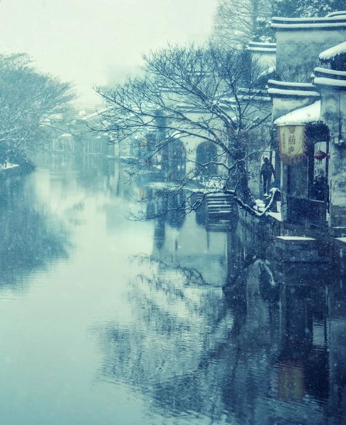 紅樓夢(mèng)關(guān)于美食的詩(shī)句