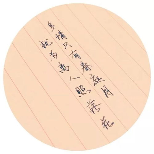 寫情感的詩句古詩詞