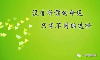 關(guān)于失敗后勵(lì)志的詩(shī)句,失敗了站起來(lái)的勵(lì)志詩(shī)句,考試失敗后的勵(lì)志詩(shī)句