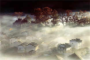 有意境的古詩句,意境優(yōu)美的古詩句,關于逍遙灑脫的古詩句