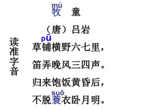 關(guān)于小學(xué)5級黃河的詩句古詩
