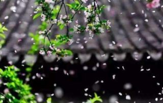 描寫春天萬物復(fù)蘇的詩句,春天萬物復(fù)蘇的句子的詩句,贊美春天萬物復(fù)蘇的詩句