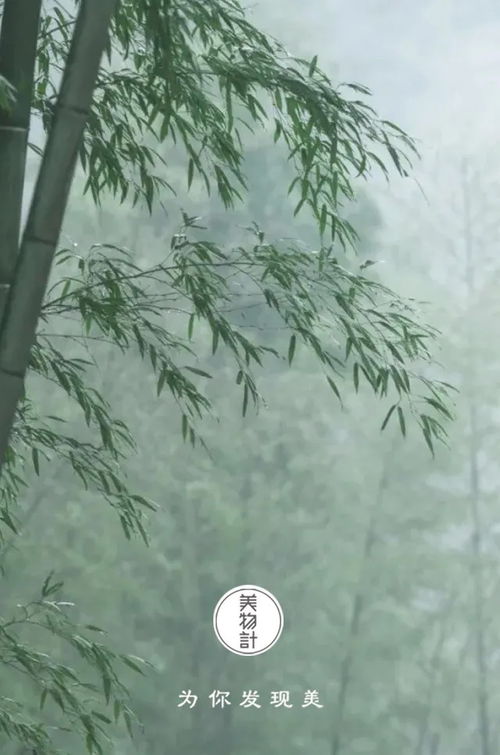 關(guān)于桃花的詩(shī)句古詩(shī),關(guān)于梅的詩(shī)句古詩(shī),托物言志的詩(shī)句古詩(shī)