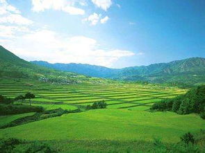 歌頌土地的古詩名句,關(guān)于土地的古詩句,歌頌奉獻的古詩句