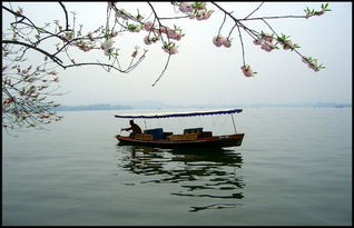 關于西湖的景色的詩句古詩大全