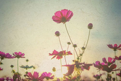 古詩中含有月份的詩句