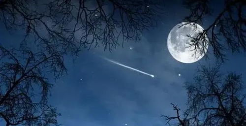 古詩中帶月的詩句有很多你知道哪些,古詩中帶月的詩句及思想感情,古詩中帶月的詩句除了思念家鄉(xiāng)還可以抒發(fā)什么樣的感情