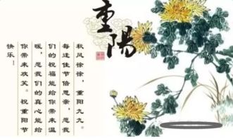 重陽(yáng)有關(guān)酒的詩(shī)句古詩(shī)