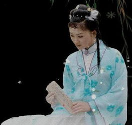 林黛玉關(guān)于秋雨的詩句