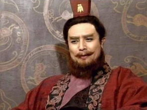 詩句,孫權,于三國